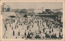 Tropical Ice Gardens, Westwood Village, CA Postcard