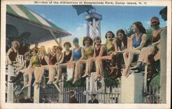 Women in Swimsuits at Steeplechase Park, Coney Island Postcard