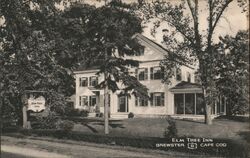 Elm Tree Inn, Brewster, Cape Cod, Massachusetts Postcard Postcard Postcard