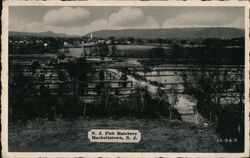 N. J. Fish Hatchery, Hackettstown, NJ Postcard