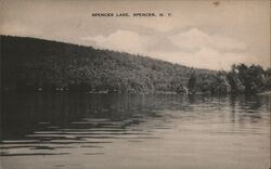 Spencer Lake, Spencer NY New York Postcard Postcard Postcard