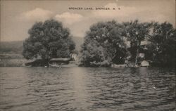 Spencer Lake, Spencer NY New York Postcard Postcard Postcard