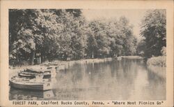 Forest Park, Chalfont, Bucks County, Penna. Pennsylvania Postcard Postcard Postcard