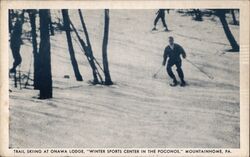 Trail Skiing at Onawa Lodge, Mountainhome, PA Pennsylvania Postcard Postcard Postcard