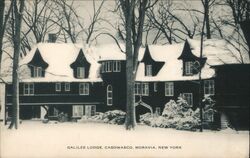 Galilee Lodge, Casowasco, Moravia, New York in Winter Postcard