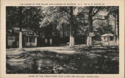 The Lodge at The Wilds and Cabins at Sharon, NY Sharon Springs, NY Postcard Postcard Postcard