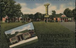 Trippensee Motel Courts, Sebring FL Postcard