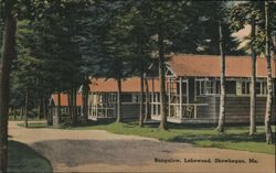 Lakewood Bungalows, Skowhegan, Maine Postcard Postcard Postcard