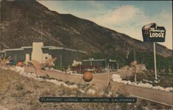 Flamingo Lodge - San Jacinto, California Postcard