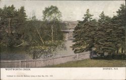 Wentworth Creek, Sydney, Nova Scotia Postcard