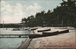 Canoes Beached on Lake Wentworth, Wolfeboro, NH New Hampshire Postcard Postcard Postcard