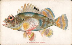 Hawaiian Fish Pilikoa Postcard Postcard Postcard