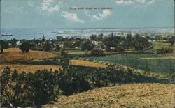 Hilo and Hilo Bay, Hawaii Panoramic View Postcard Postcard Postcard