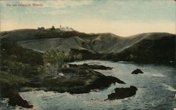 Coastal View of Hawaii with Buildings and Palm Trees Postcard