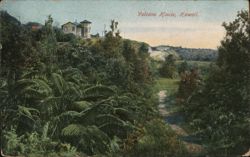 Volcano House Hotel, Hawaii Lush Tropical Foliage Path Hawai‘i Volcanoes National Park Postcard Postcard Postcard