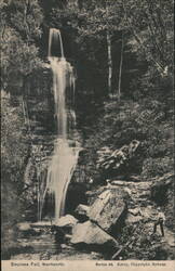 Empress Falls, Wentworth, New South Wales, Australia Postcard Postcard Postcard