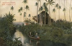 Two Men Canoeing on the Wailoa Stream, Hilo, Hawaii Postcard