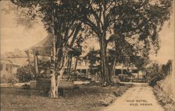 Hilo Hotel Grounds with Gazebo and Automobiles Hawaii Postcard Postcard Postcard