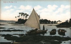 Hilo Bay Scene with Sailboat and Outrigger Canoes, Hawaii Postcard