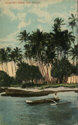 Cocoa Nut Island Hilo, HI Postcard Postcard Postcard