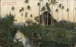 Two Men Canoeing on the Wailoa Stream, Hilo, Hawaii Postcard Postcard Postcard