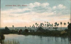 Wailolama River, Hilo, Hawaii: Serene Tropical Landscape Postcard Postcard Postcard