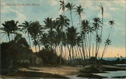 Coconut Island, Hilo, Hawaii Postcard Postcard Postcard