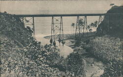 Ko-le Ko-le Bridge, Hawaii Consolidated Railway, Hawaiian Islands Trains, Railroad Postcard Postcard Postcard