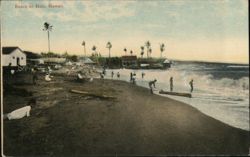 Beach at Hilo, Hawaii with People Enjoying the Surf Postcard Postcard Postcard