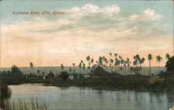 Wailoa River, Hilo, Hawaii with Palm Trees Postcard Postcard Postcard