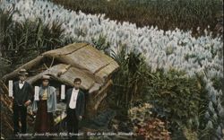 Japanese Grass House, Cane in Blossom, Waimakiti, Hilo, Hawaii Postcard