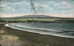 Hilo, Hawaiian Islands Beach View with Mauna Kea Postcard Postcard Postcard