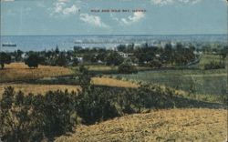 Hilo and Hilo Bay, Hawaii Panoramic View Postcard Postcard Postcard