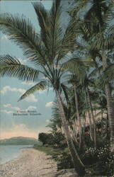 Hawaiian Coast Scene with Palm Trees Postcard