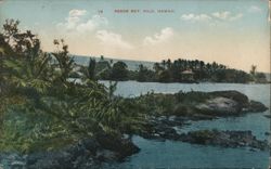 Reed's Bay, Hilo, Hawaii with Gazebo Postcard