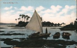 Scene on Hilo Bay, Hawaii Postcard Postcard Postcard