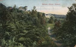 Volcano House Hotel Overlooking Lush Hawaiian Landscape Postcard