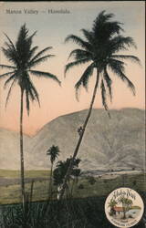 Man Climbing Palm Tree, Manoa Valley, Honolulu Hawaii Postcard Postcard Postcard