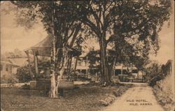 Hilo Hotel Grounds with Gazebo and Autos, Hilo, Hawaii Postcard Postcard Postcard