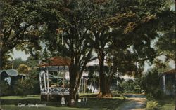 Hotel Hilo, Hawaii with Gazebo and Lush Greenery Postcard