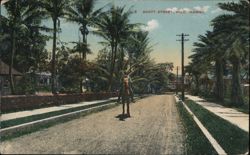 Horse & Rider on Scott Street, Hilo, Hawaii Postcard Postcard Postcard