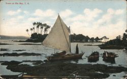 Hilo Bay Scene with Sailboat and Outrigger Canoes, Hawaii Postcard Postcard Postcard