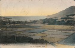 Nawiliwili, Kauai: Panoramic View of Fields and Coastline Postcard