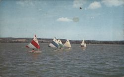 Sailboats on Chautauqua Lake, New York Postcard