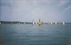 Sailboat Races on Chautauqua Lake, New York Postcard Postcard Postcard