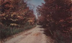 Autumn Foliage on a Country Road, Chautauqua, NY New York Postcard Postcard Postcard