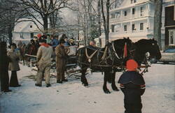 Horse-Drawn Sleigh Ride at Chautauqua Institution Winter Festival New York Postcard Postcard Postcard