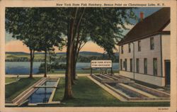 New York State Fish Hatchery, Bemus Point on Chautauqua Lake Postcard Postcard Postcard