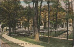 Approach to Amphitheater through Ravine, Chautauqua, NY Postcard