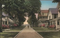 Vincent Avenue, Chautauqua, NY on Lake Chautauqua New York Postcard Postcard Postcard